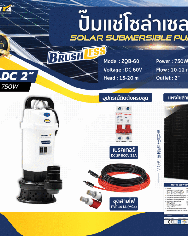 ปั๊มแช่ไดโว่ รุ่นสีขาว 750w + เเผงโซล่าเซลล์ 580w (2 เเผง)