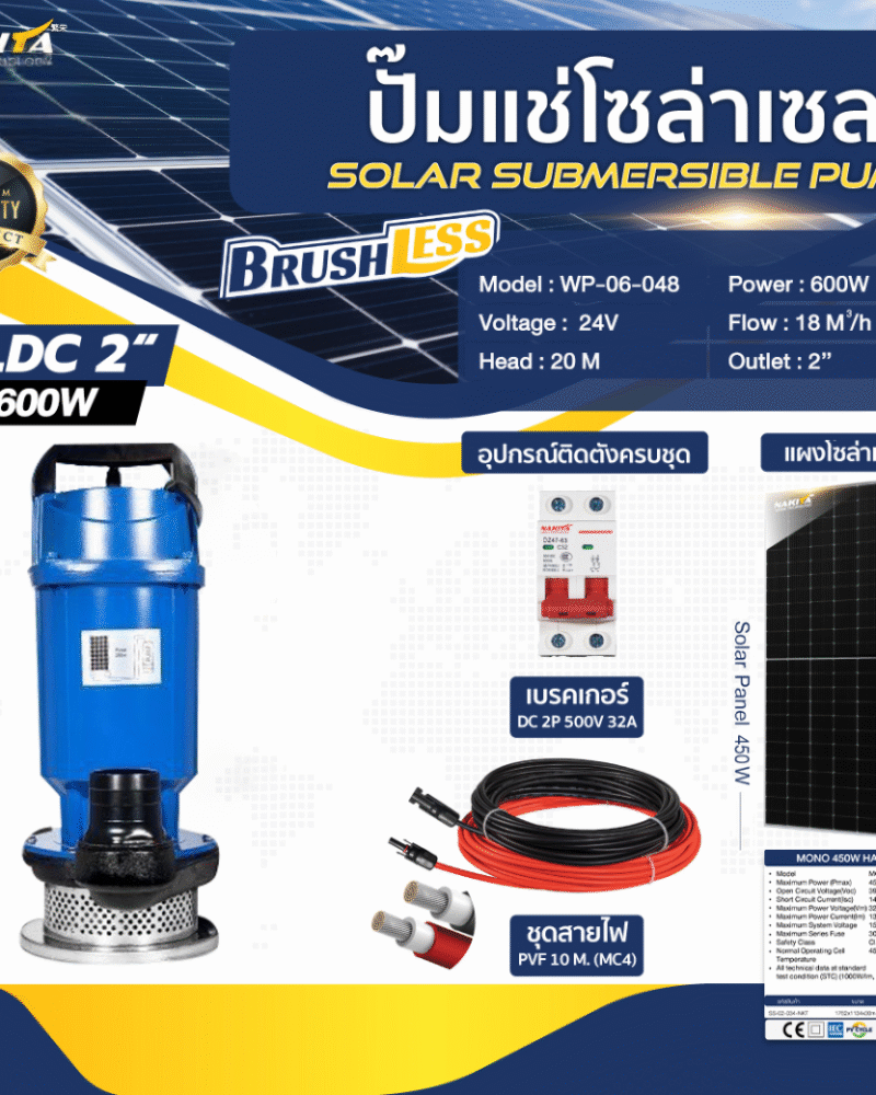 ปั๊มแช่อลูมิเนียม รุ่นสีน้ำเงิน 600W (ท่อ 2 นิ้ว) + เเผงโซล่าเซลล์ 450W (2 แผง)